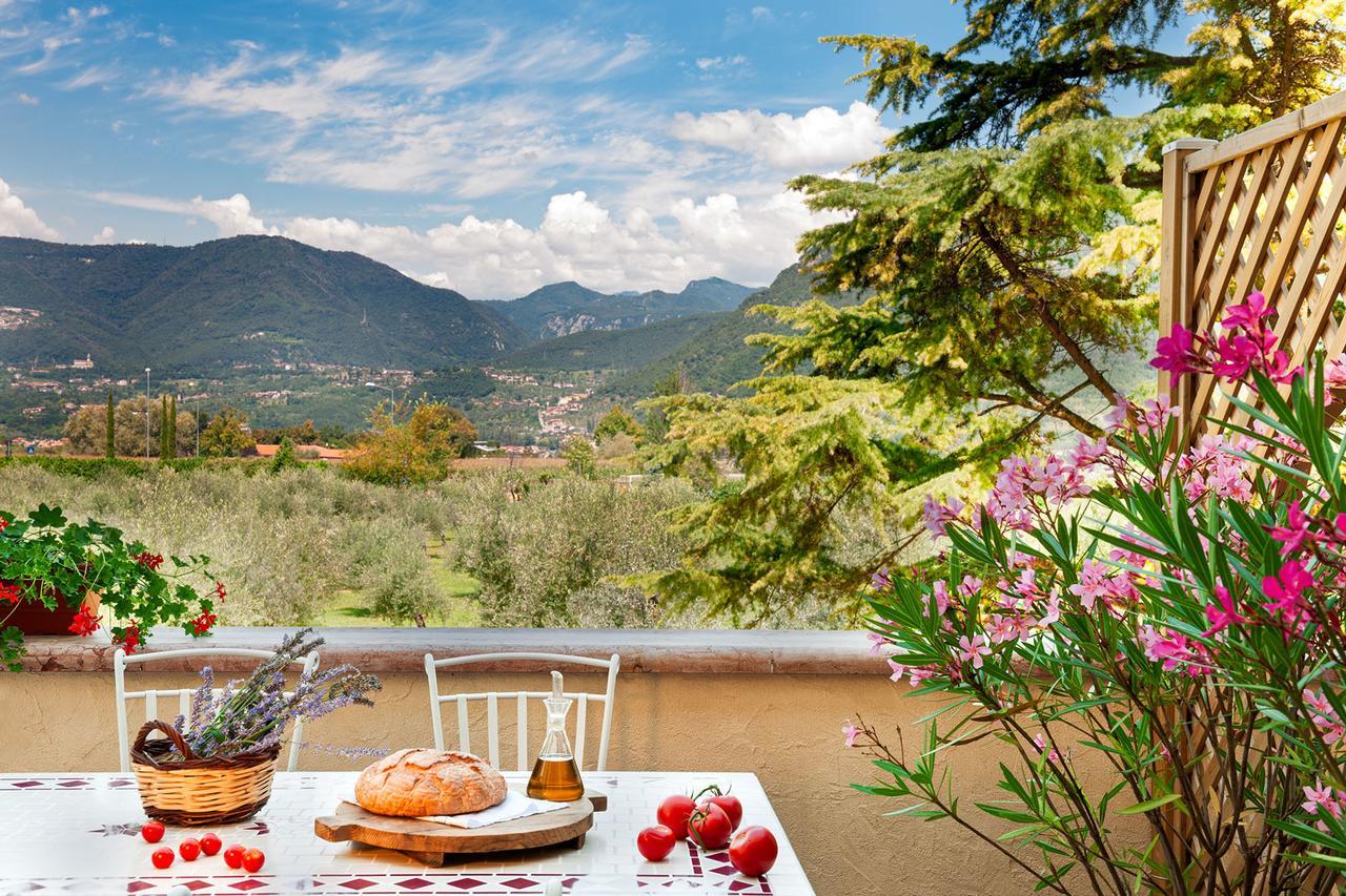 Olea Dei Holiday Apartments San Felice del Benaco Bagian luar foto