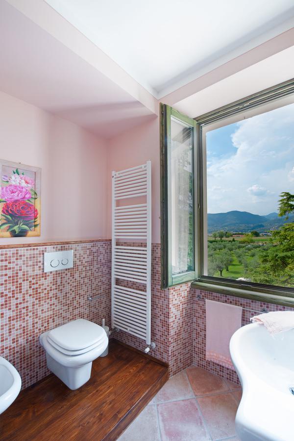 Olea Dei Holiday Apartments San Felice del Benaco Bagian luar foto
